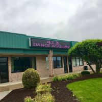 4.1.3. Dance Academy ico