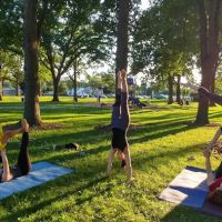 Aerial Dragonfly Movement Studio ico