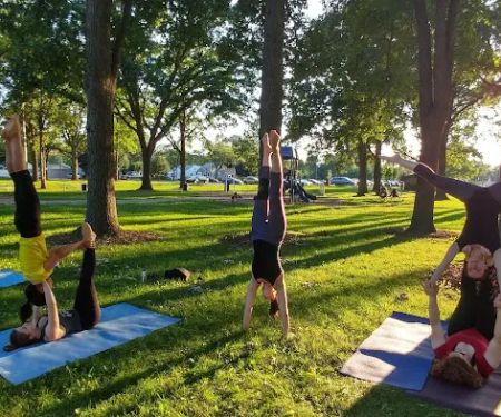 Aerial Dragonfly Movement Studio