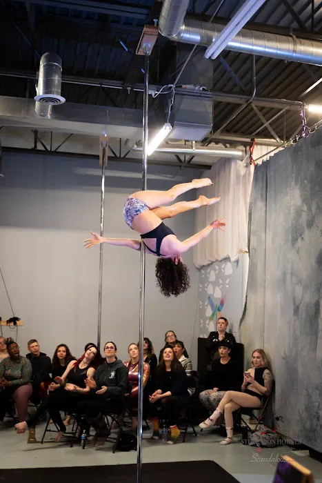Aerial Dragonfly Movement Studio Picture 3