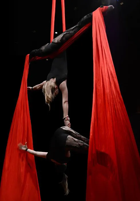 Aerial Dragonfly Movement Studio Picture 5