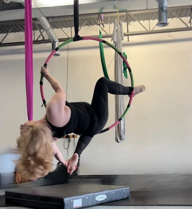 Aerial Dragonfly Movement Studio Picture 7