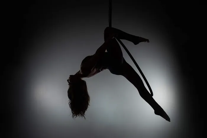 Aerial Dragonfly Movement Studio Picture 6