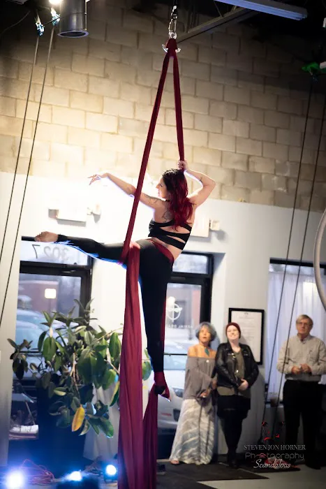 Aerial Dragonfly Movement Studio Picture 9