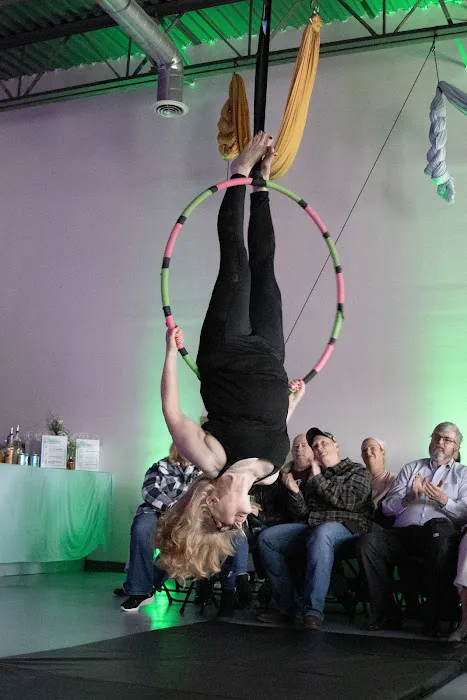 Aerial Dragonfly Movement Studio Picture 10