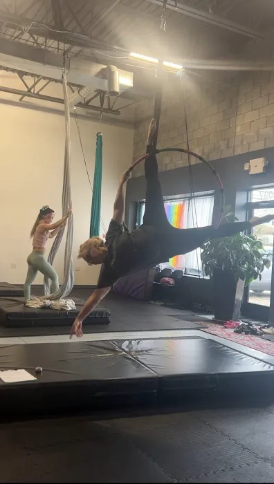Aerial Dragonfly Movement Studio Picture 8
