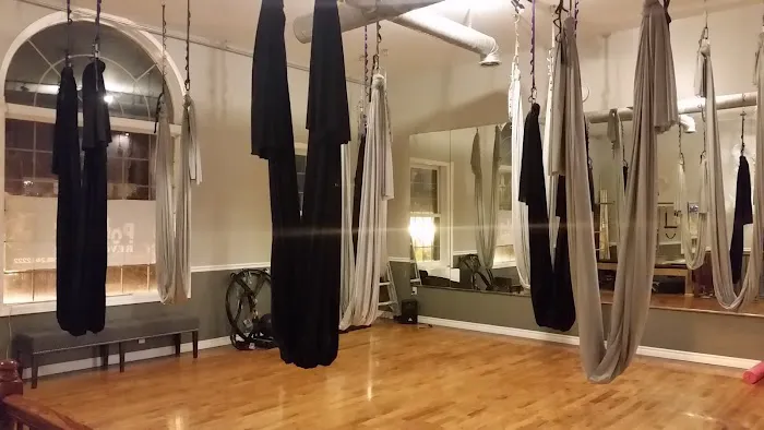 PoleFIT Revolution, LLC Picture 4