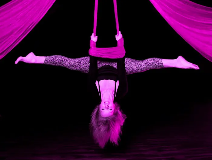 PoleFIT Revolution, LLC Picture 2