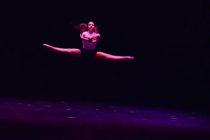 Warren Consolidated School of Performing Arts Picture 4