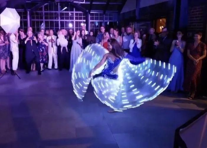 Belly Dance & Bollywood Entertainment Picture 6