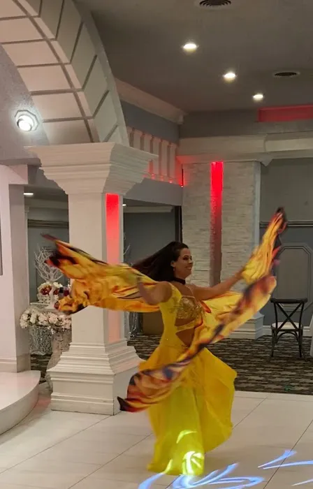 Belly Dance & Bollywood Entertainment Picture 10