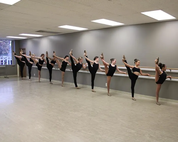 Dance Expressions Picture 4