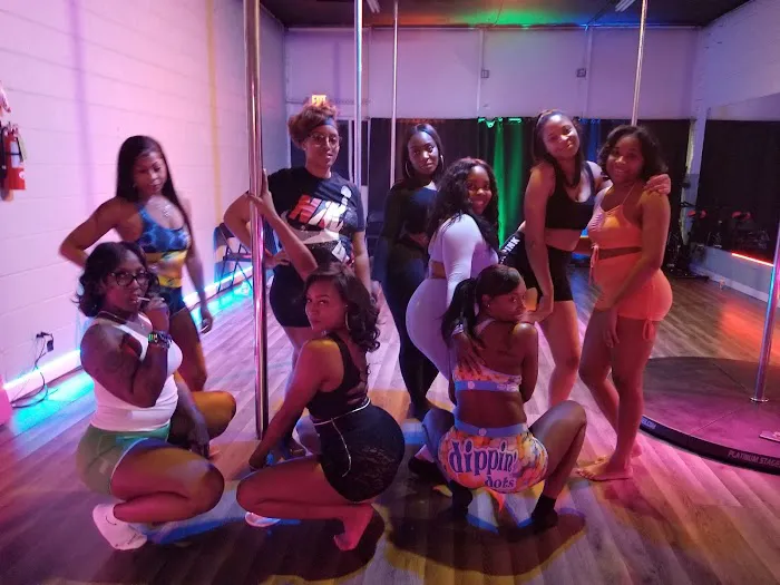 Alter Ego Pole Fitness Picture 3