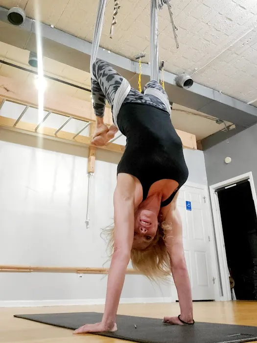 PoleFIT Revolution - Shelby Twp. Picture 5