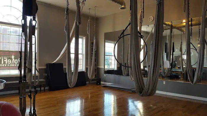 PoleFIT Revolution - Shelby Twp. Picture 7