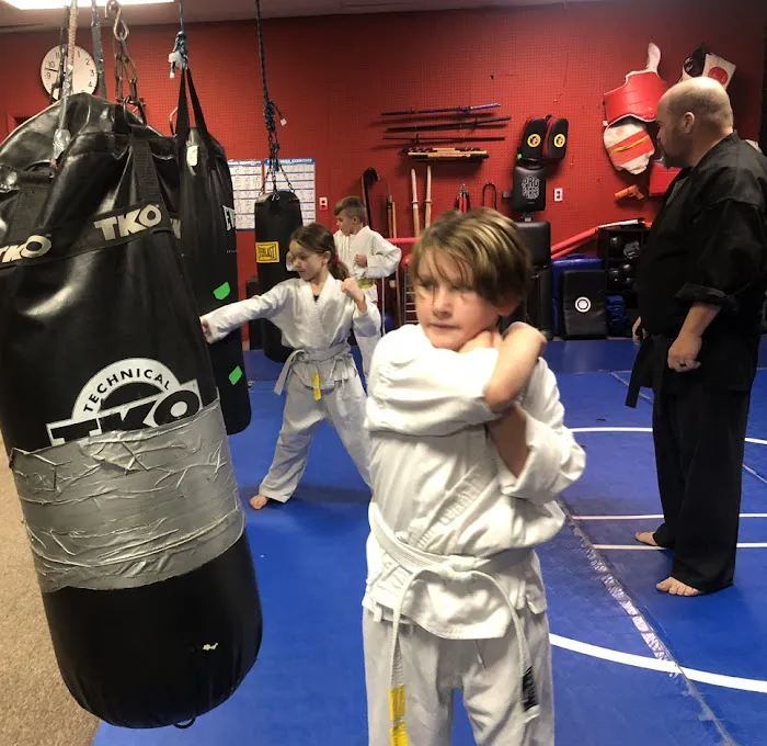 Northstar Martial Arts and Fitness Center Picture 2