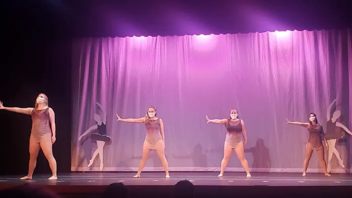 Destined 2 Dance Picture 3