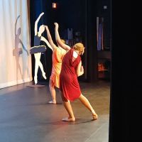 Destined 2 Dance ico