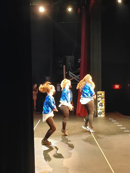 Destined 2 Dance Picture 8
