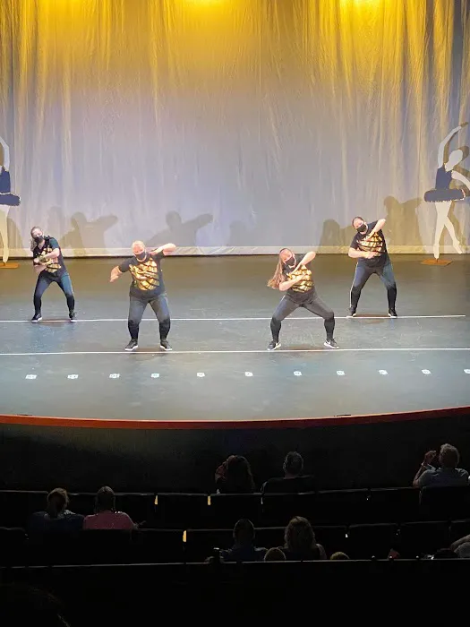 Destined 2 Dance Picture 9