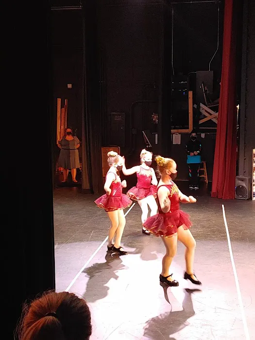Destined 2 Dance Picture 10