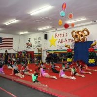 Patti's All-American Gymnastics ico