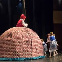 Michigan Youth Ballet Theatre ico