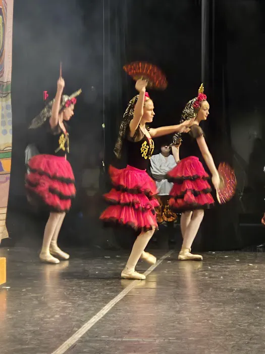Michigan Youth Ballet Theatre Picture 4