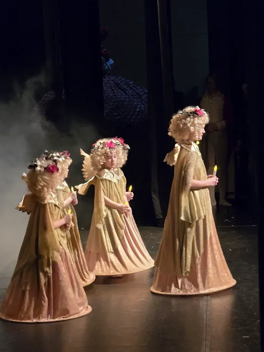 Michigan Youth Ballet Theatre Picture 5