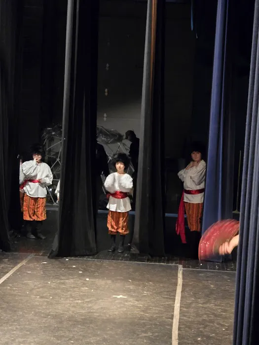 Michigan Youth Ballet Theatre Picture 6