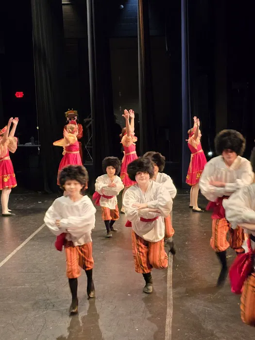 Michigan Youth Ballet Theatre Picture 8