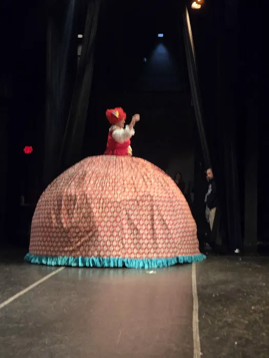 Michigan Youth Ballet Theatre Picture 7