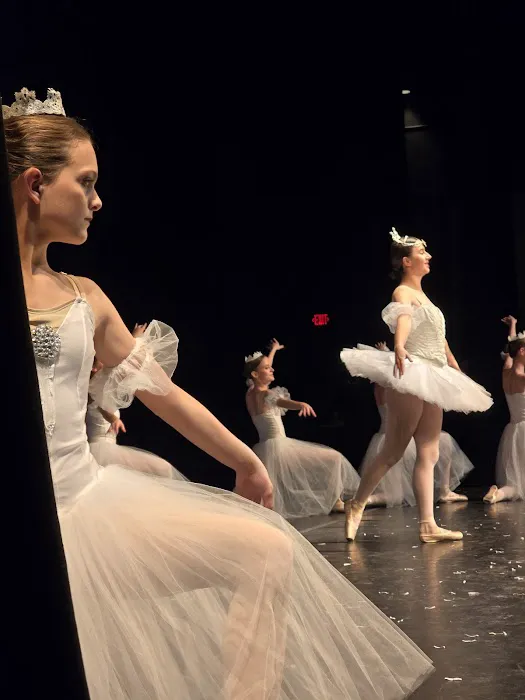 Michigan Youth Ballet Theatre Picture 9