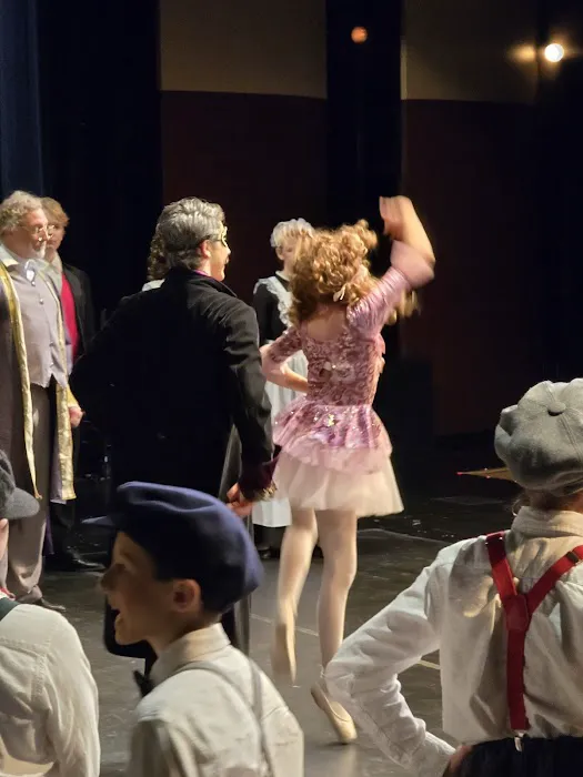 Michigan Youth Ballet Theatre Picture 10
