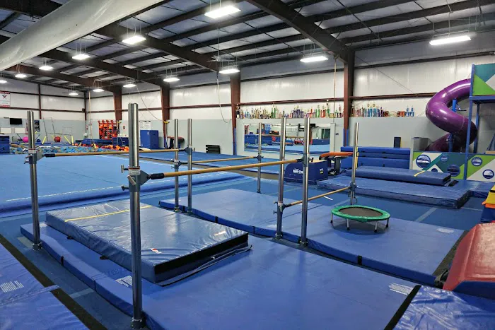 Power In Motion Gymnastics, Dance, & Cheer Picture 2