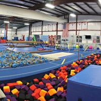 Power In Motion Gymnastics, Dance, & Cheer ico