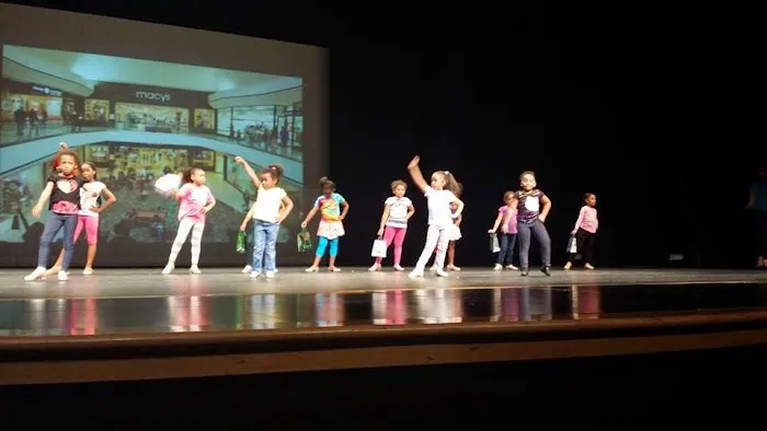 Fieldcrest School of Performing Arts Picture 5