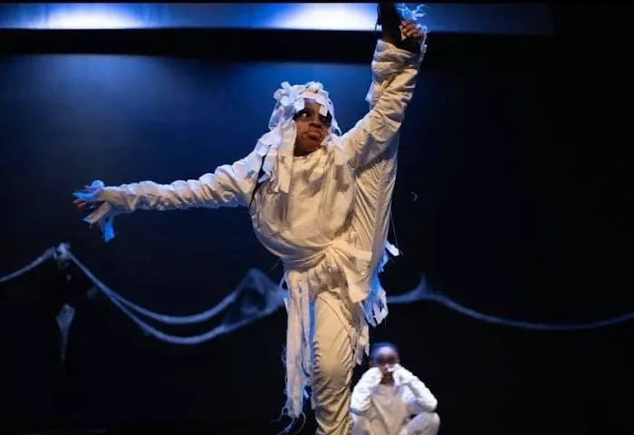 Dance Force Elite Picture 4