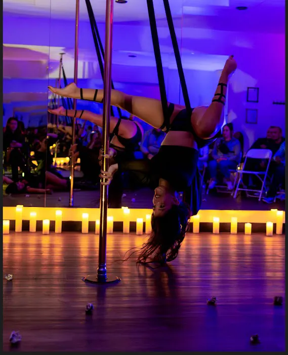The Pole Palace Dance Studio Picture 3