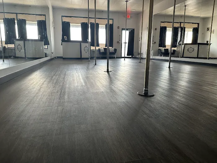 The Pole Palace Dance Studio Picture 4