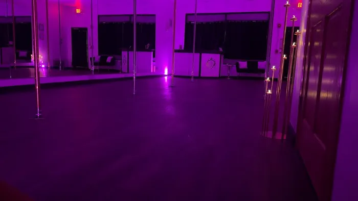 The Pole Palace Dance Studio Picture 8
