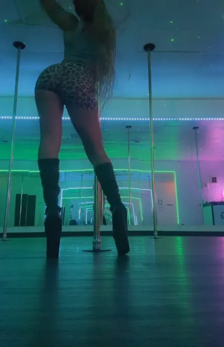 The Pole Palace Dance Studio Picture 6