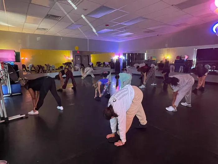 Dance Housee Picture 10