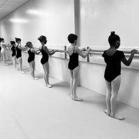 Mt Pleasant School of Dance ico