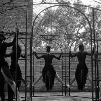 Chicago Contemporary Dance Theatre ico
