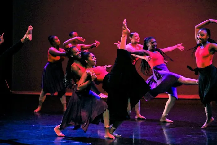 Forward Momentum Chicago Picture 4