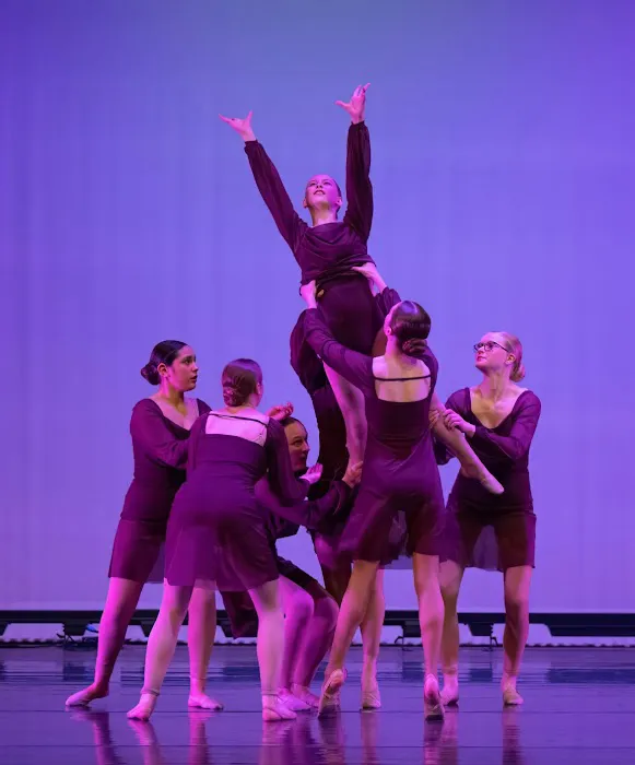 Academy of Performing Arts Studio, LLC Picture 5