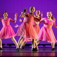 Academy of Performing Arts Studio, LLC ico