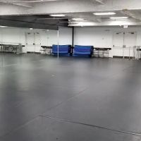 Chicago Multicultural Dance ico