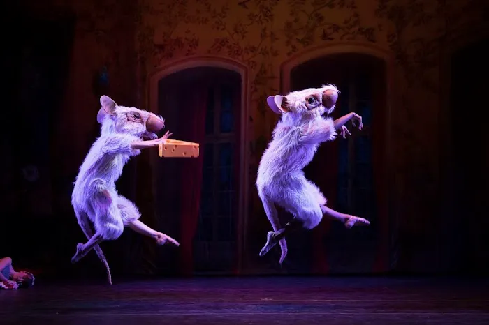 A&A Ballet Picture 6
